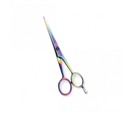 Professional Hair Cutting Scissors